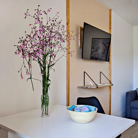 Spécial Proche Centre Parking Appartamento